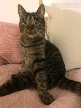 Wilma, Uelzen