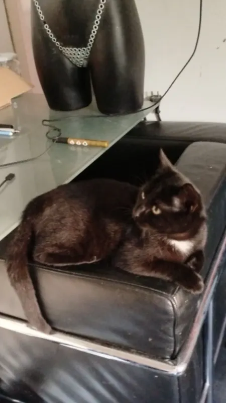 Jeffery, Eitorf