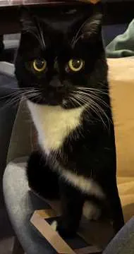 Kitty, Grafschaft