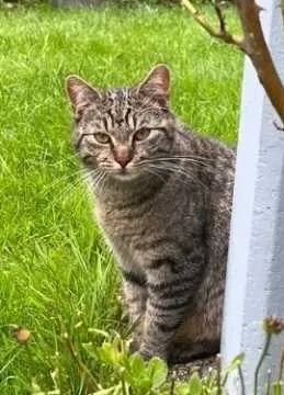 Lou, Waldkirch