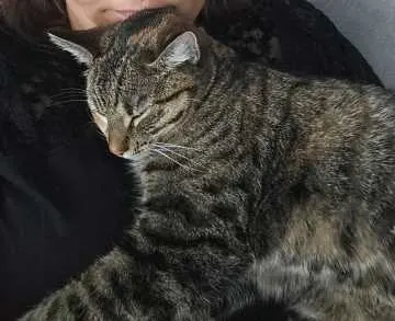 Izzy, Munster