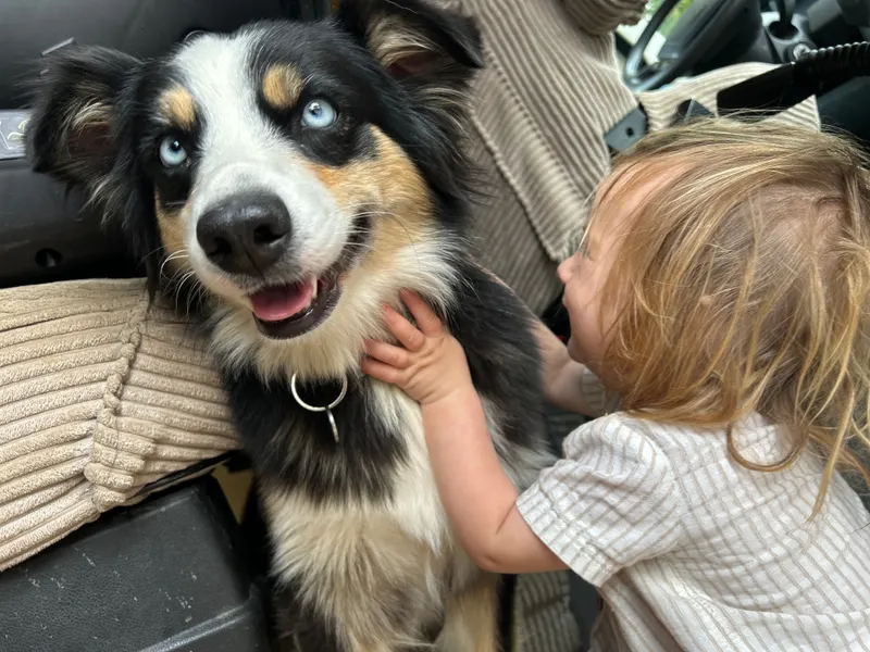 Nala, Oberasbach