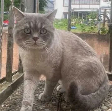 Sammy, Saarbrücken