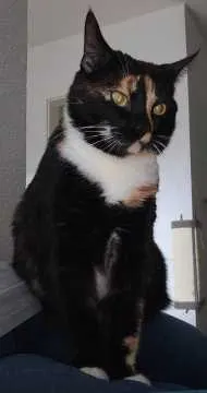 Mila, Meinerzhagen