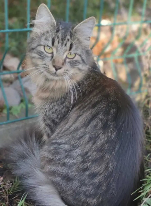 Ruby, Lippstadt