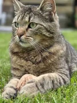 Maggie, Marienfeld