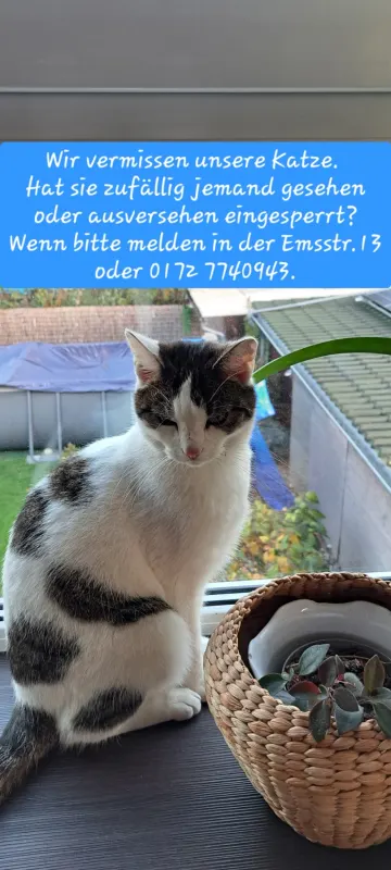 Elli, Oranienburg