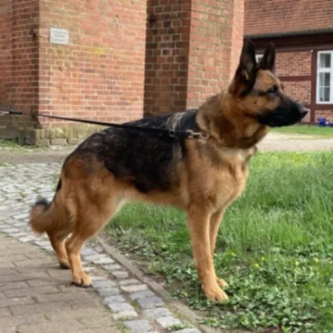 Mina, Hohen Neuendorf