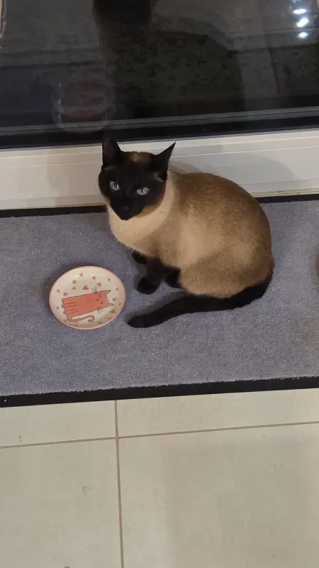 Micky, Kirchlengern