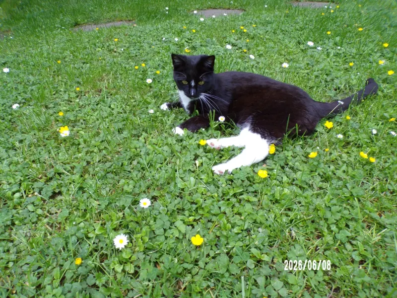 Lina, Freiberg
