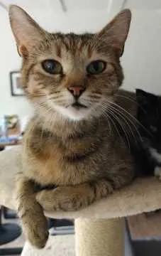 Ellie, Würzburg
