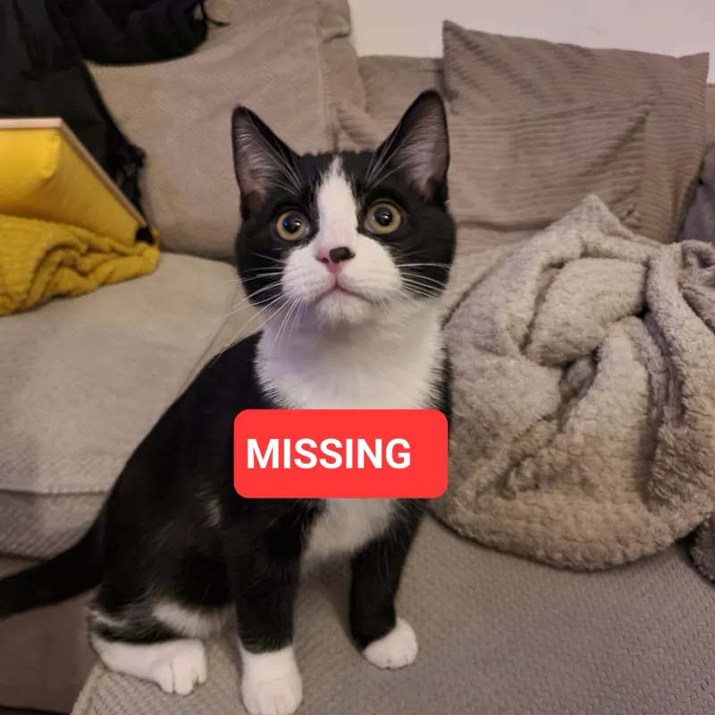 OREO, Mountsorrel