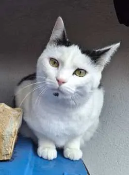 Charly, Ehingen (Donau)
