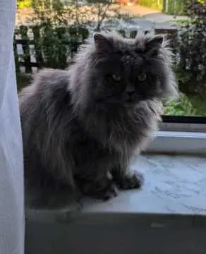 Mirimarie, Mölln
