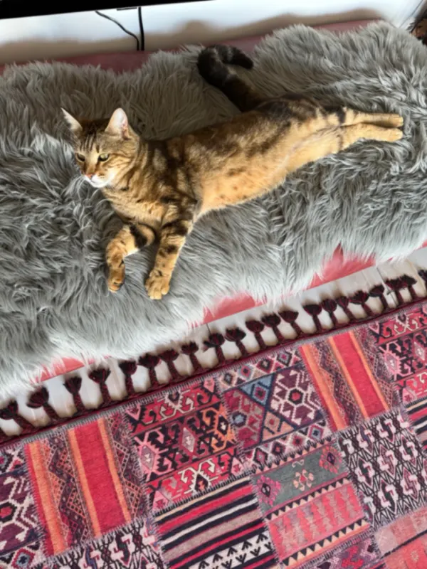 Pascha, Gersthofen
