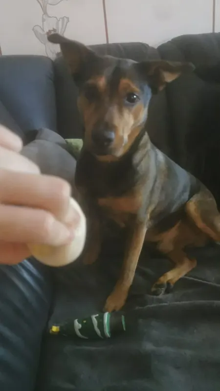 Morti, Neumünster