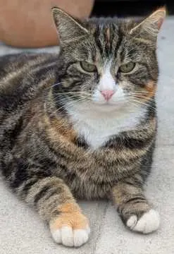 Brunhilde, Bad Oldesloe