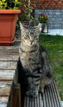 Eddy, Weißenfels