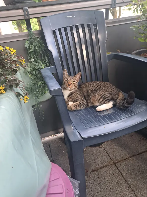 Loki, Bottrop