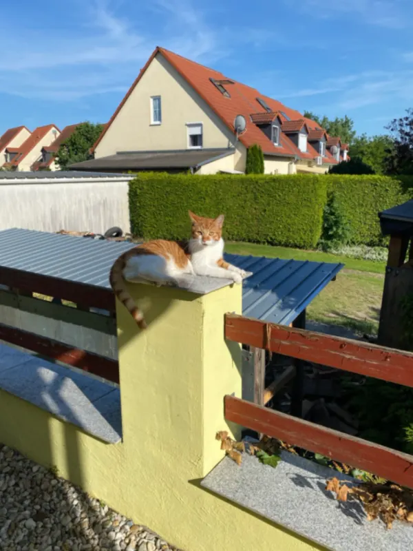 Findus, Schkeuditz