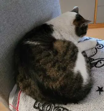 Charly, Geislingen an der Steige
