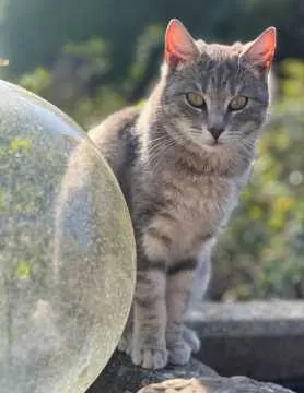 Nala, Xanten