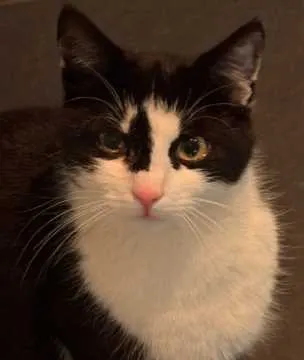 Bruce, Eggolsheim