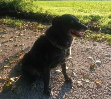 Cooper, Herford