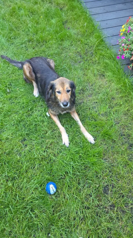 Tilda, Bottrop