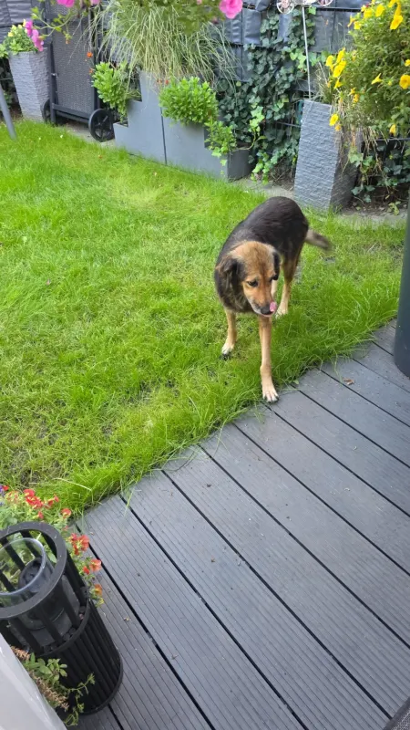 Tilda, Bottrop
