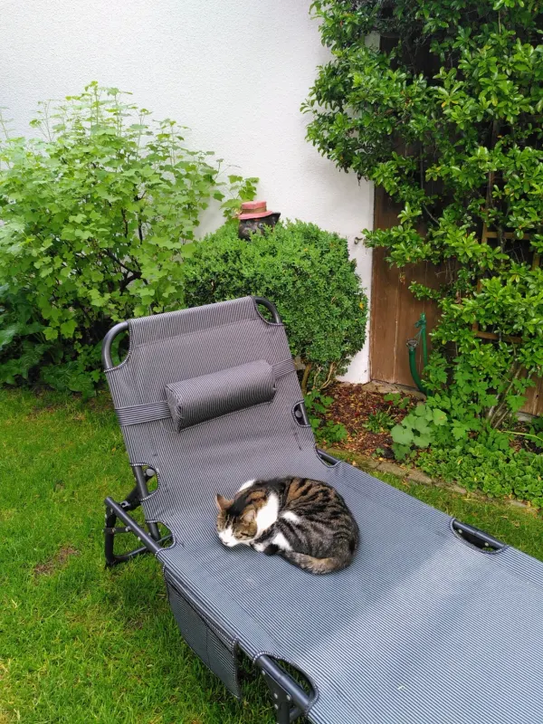 Tizian, Bruckmühl