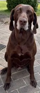 Frieda, Heiligengrabe