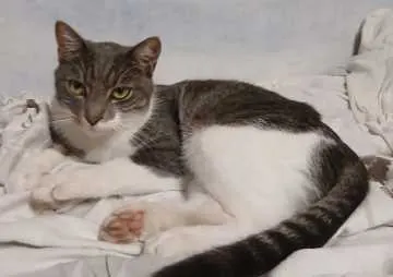 Momo, Penzberg