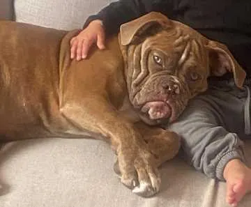 Coco, Masburg