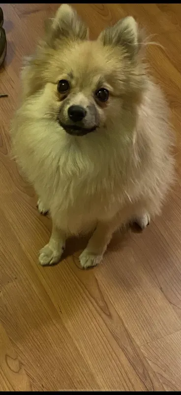 Max, Zeitz