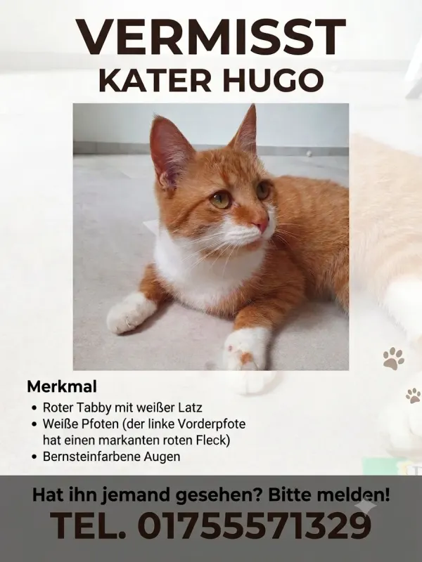 Hugo, Eppingen