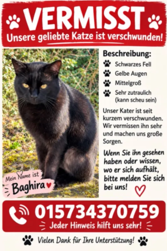 Bagera, Trier