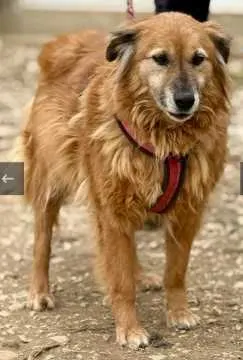 Amy, Heiligenberg