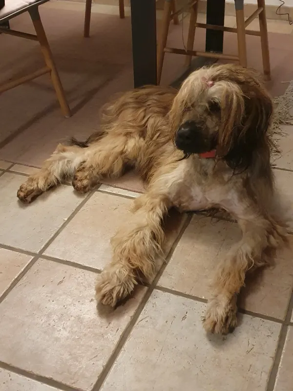 Lucie, Kleinmachnow
