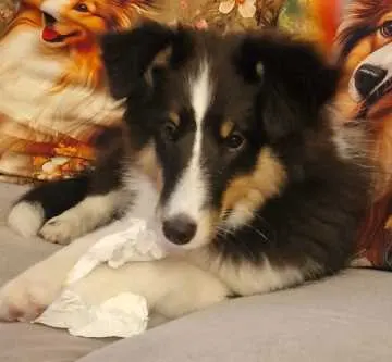 Maja, Buttstädt