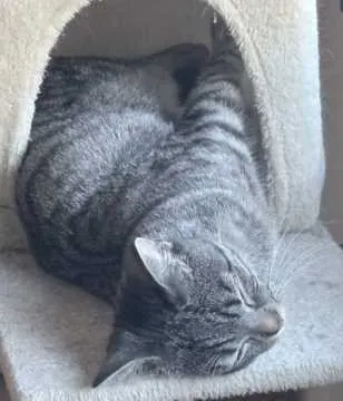 Balu, Oberhausen-Rheinhausen