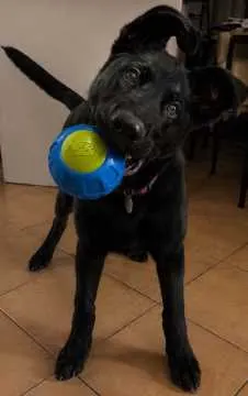 Xena, Kamen