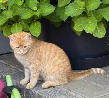 Rudi, Eckersdorf