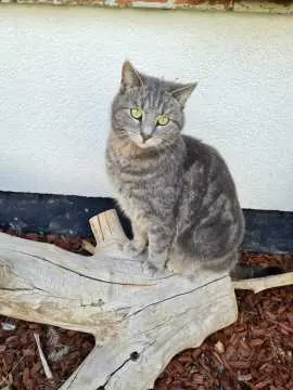Lucy, Rudolstadt