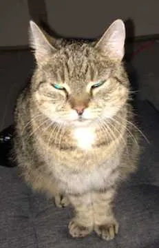Sammy, Warburg