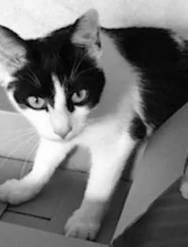 Lucy, Friedrichroda