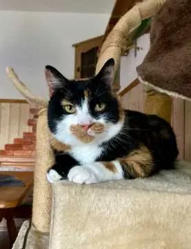 Luna, Puchheim