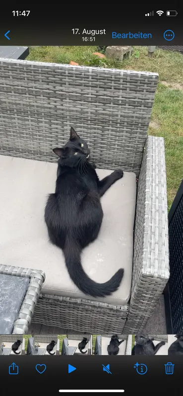 Shainy, Angermünde