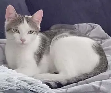 Mio, Bad Berleburg