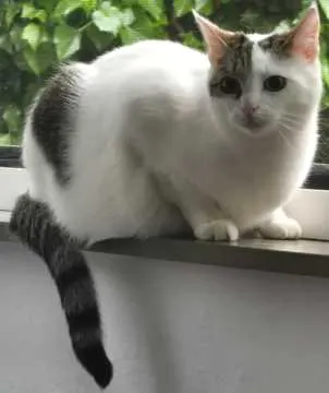 Yuna, Celle
